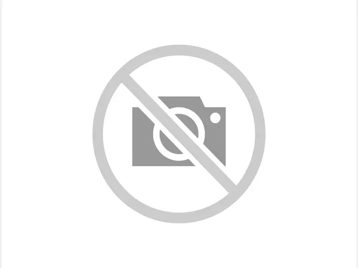 手打中華 餐 手打チャーシュー麺